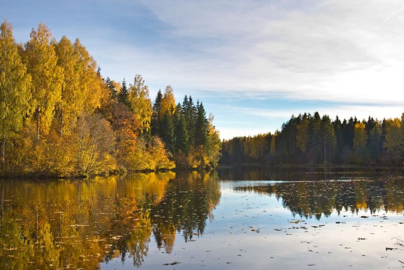 Pärnu maakonnas, Saarde vallas, Laiksaare ja Marina küla lähistel asuv Rae paisjärv on avalikult kasutatav veekogu. 
