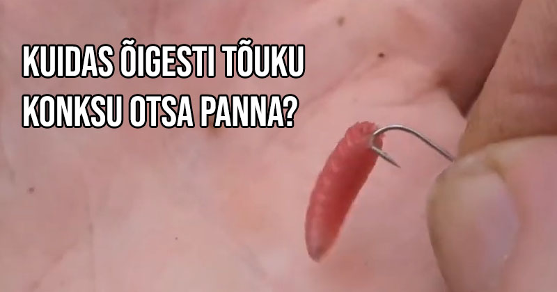 Kuidas õigesti tõuku konksu otsa panna? Loe alljärgnevat õpetust või vaata allolevaid lühivideoid.