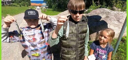 Meie esimene räimepüük Hara sadamas | Perega looduses